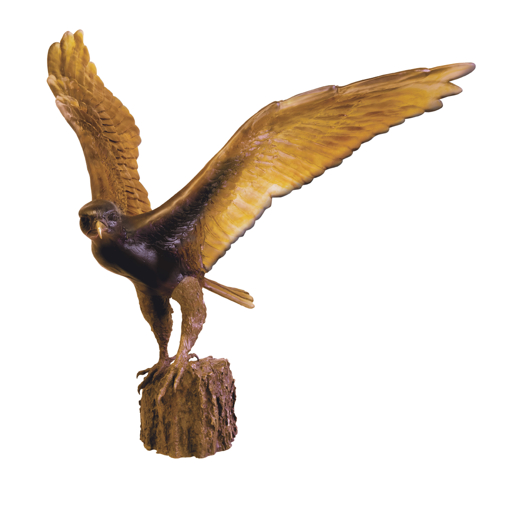 The Hawk Flight by Madeleine van der Knoop 75 ex