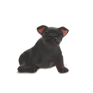 Mini French Bulldog