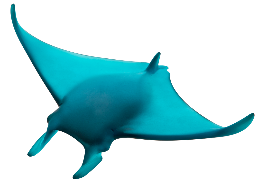 Manta Ray by Umberto Nuzzo 375 ex