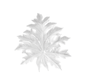 Small Long-Fixture BornÃ©o Wall Leaf in White by Emilio Robba