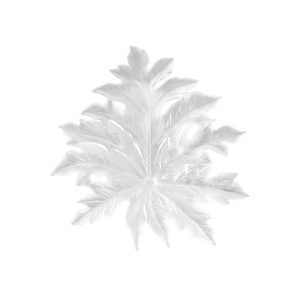 Small Short-Fixture BornÃ©o Wall Leaf in White by Emilio Robba