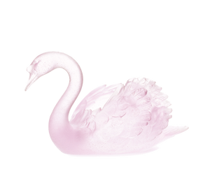 Swan in Pink 500 ex