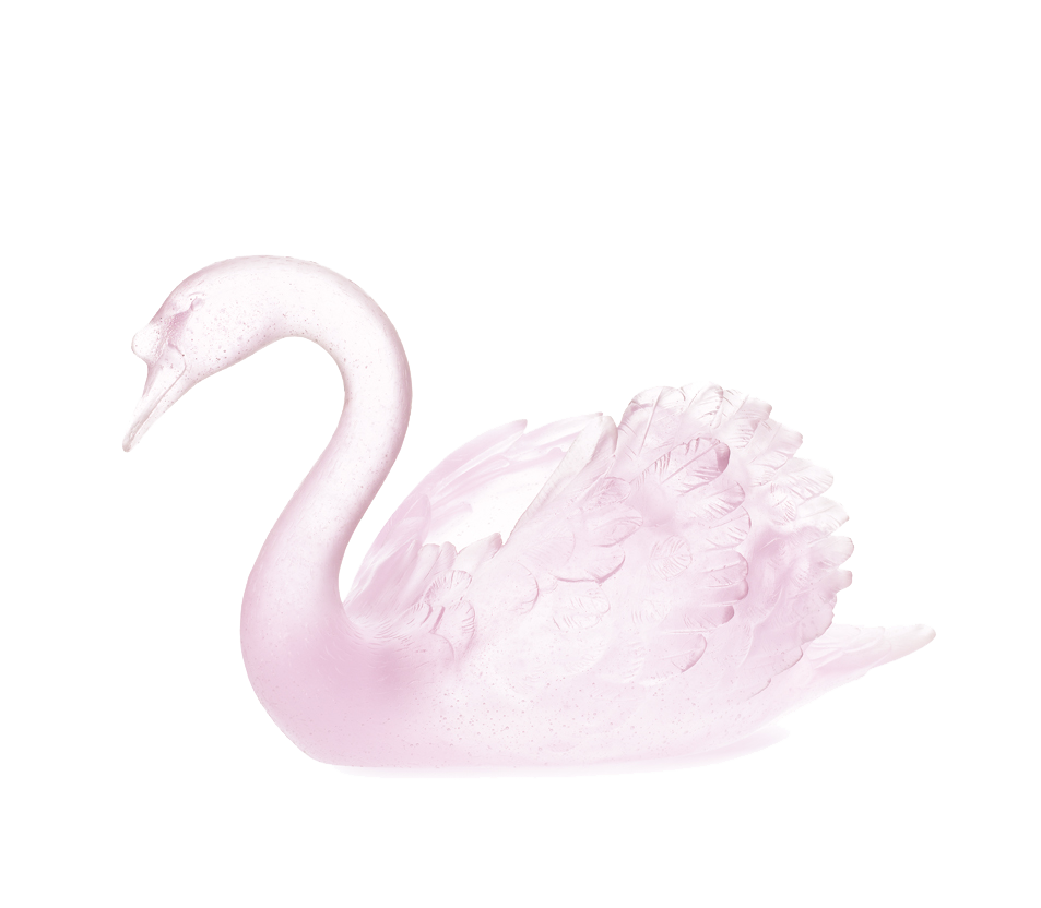 Swan in Pink 500 ex