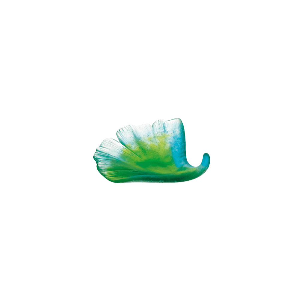 Ginkgo Leaf in Green