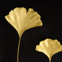 Load image into Gallery viewer, Ginkgo Leaf Shadow Box - By Michael Aram
