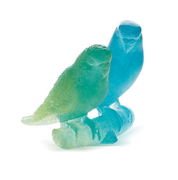 Blue Budgerigars Bird Couple