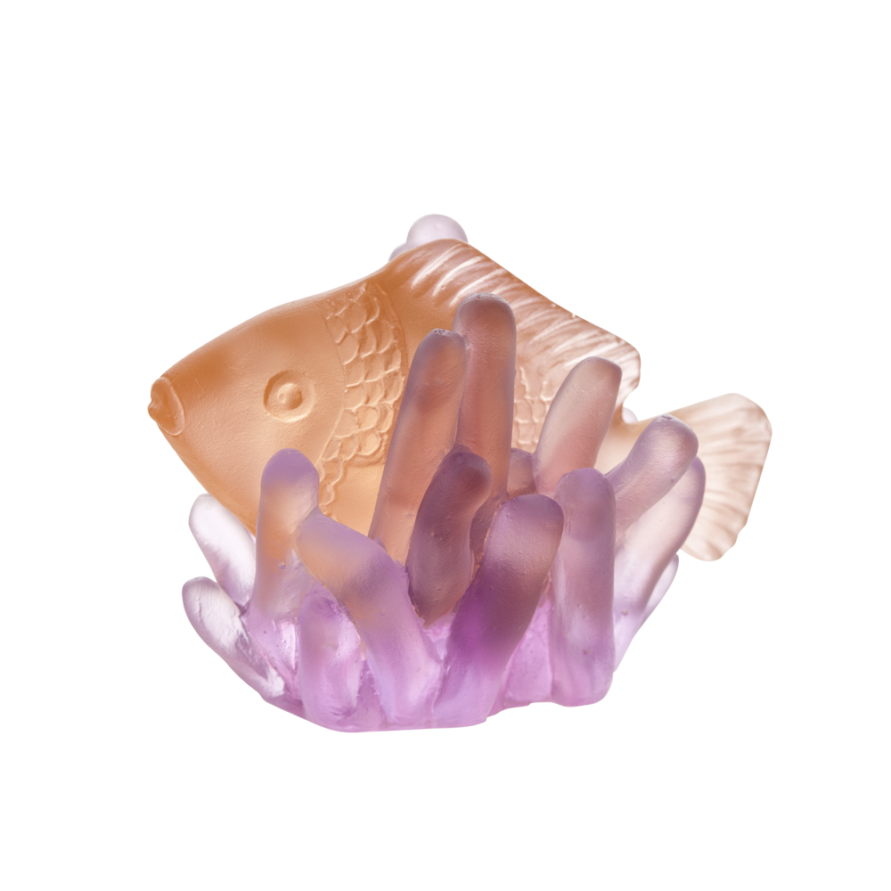 Small Amber Fish in Purple Anemone