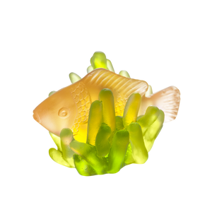Small Amber Fish in Green Anemone